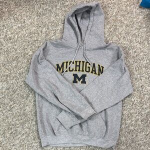 Gray Michigan Hoodie